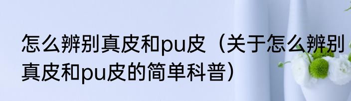 怎么辨别真皮和pu皮（关于怎么辨别真皮和pu皮的简单科普）