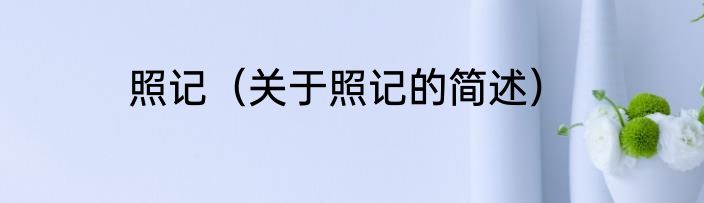 照记（关于照记的简述）