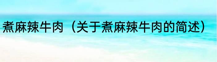 煮麻辣牛肉（关于煮麻辣牛肉的简述）