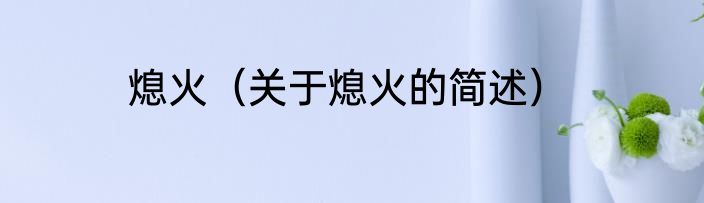 熄火（关于熄火的简述）
