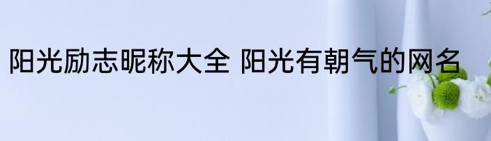 阳光励志昵称大全 阳光有朝气的网名