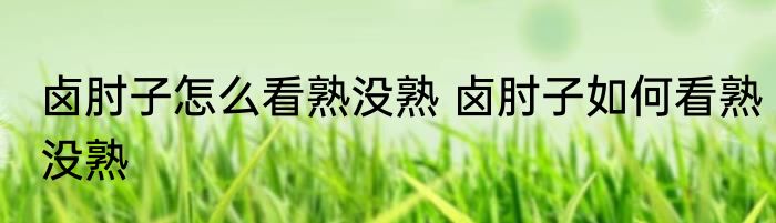 卤肘子怎么看熟没熟 卤肘子如何看熟没熟