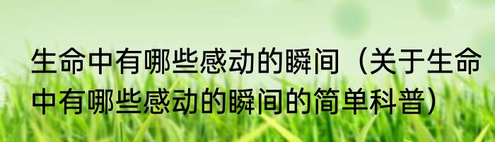 生命中有哪些感动的瞬间（关于生命中有哪些感动的瞬间的简单科普）