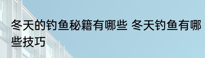 冬天的钓鱼秘籍有哪些 冬天钓鱼有哪些技巧