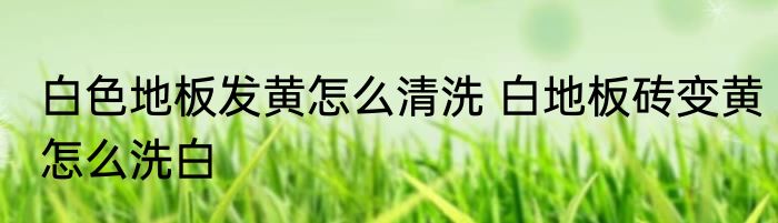 白色地板发黄怎么清洗 白地板砖变黄怎么洗白