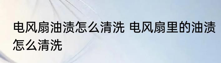 电风扇油渍怎么清洗 电风扇里的油渍怎么清洗