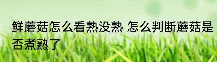 鲜蘑菇怎么看熟没熟 怎么判断蘑菇是否煮熟了