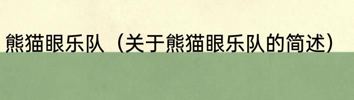 熊猫眼乐队（关于熊猫眼乐队的简述）