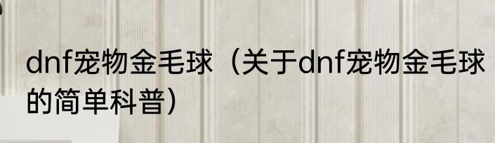 dnf宠物金毛球（关于dnf宠物金毛球的简单科普）