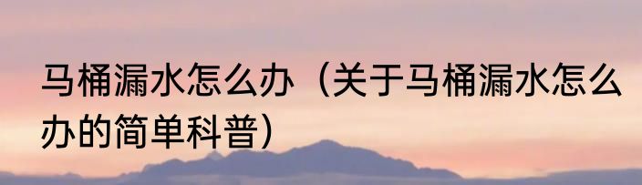 马桶漏水怎么办（关于马桶漏水怎么办的简单科普）
