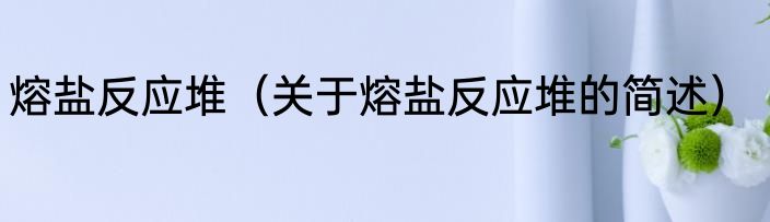 熔盐反应堆（关于熔盐反应堆的简述）