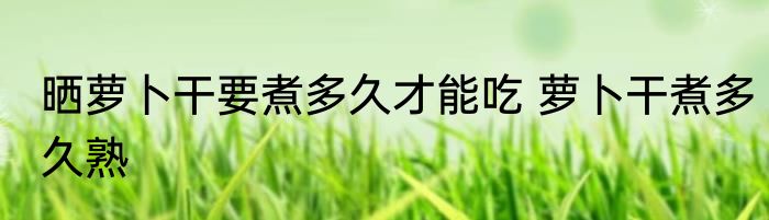 晒萝卜干要煮多久才能吃 萝卜干煮多久熟
