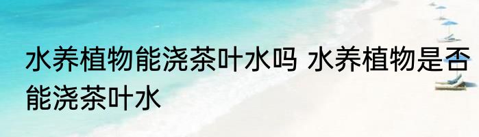 水养植物能浇茶叶水吗 水养植物是否能浇茶叶水
