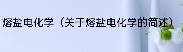熔盐电化学（关于熔盐电化学的简述）