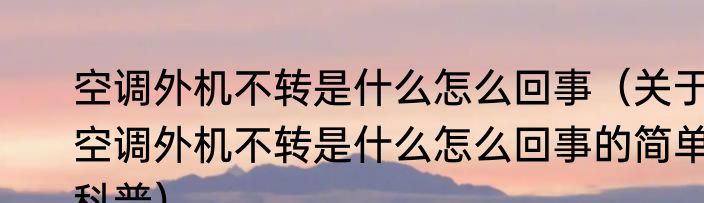 空调外机不转是什么怎么回事（关于空调外机不转是什么怎么回事的简单科普）