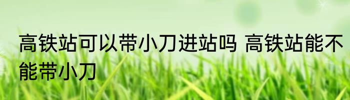 高铁站可以带小刀进站吗 高铁站能不能带小刀