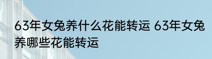 63年女兔养什么花能转运 63年女兔养哪些花能转运