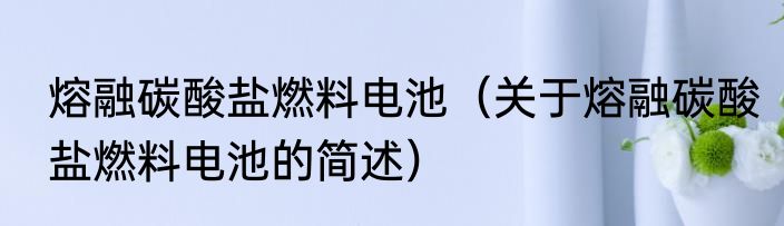 熔融碳酸盐燃料电池（关于熔融碳酸盐燃料电池的简述）