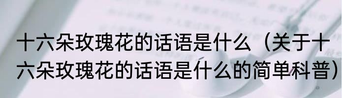 十六朵玫瑰花的话语是什么（关于十六朵玫瑰花的话语是什么的简单科普）