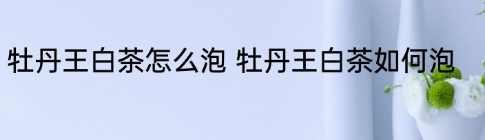 牡丹王白茶怎么泡 牡丹王白茶如何泡