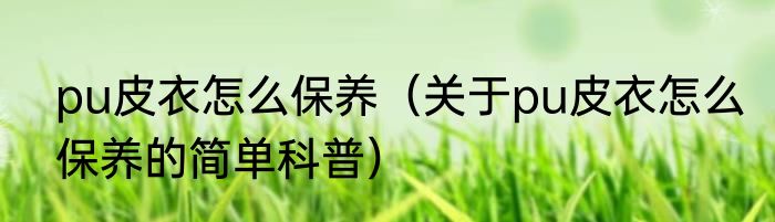 pu皮衣怎么保养（关于pu皮衣怎么保养的简单科普）