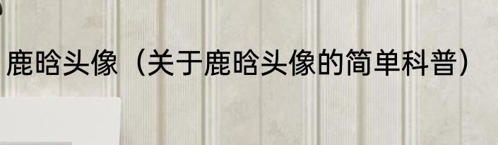 鹿晗头像（关于鹿晗头像的简单科普）