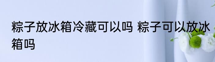 粽子放冰箱冷藏可以吗 粽子可以放冰箱吗