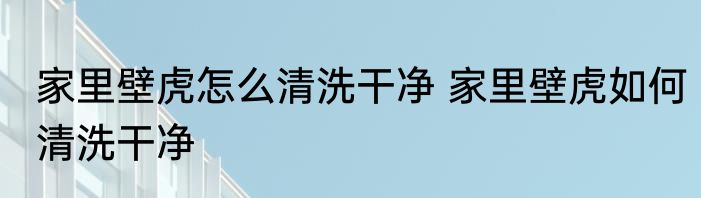 家里壁虎怎么清洗干净 家里壁虎如何清洗干净