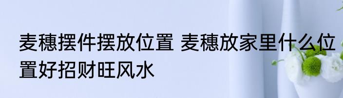 麦穗摆件摆放位置 麦穗放家里什么位置好招财旺风水