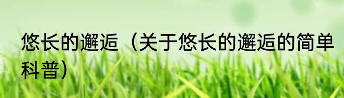 悠长的邂逅（关于悠长的邂逅的简单科普）