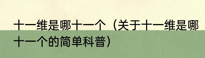 十一维是哪十一个（关于十一维是哪十一个的简单科普）