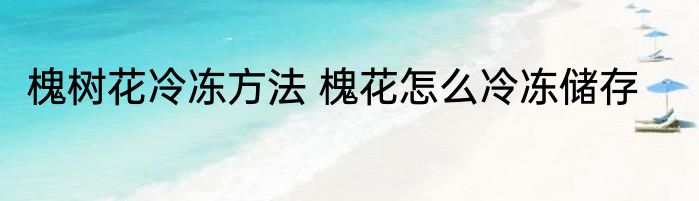 槐树花冷冻方法 槐花怎么冷冻储存