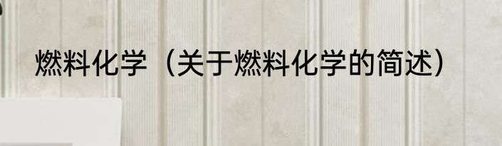燃料化学（关于燃料化学的简述）