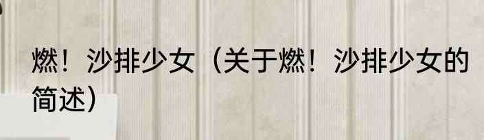 燃！沙排少女（关于燃！沙排少女的简述）