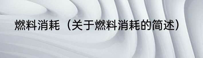燃料消耗（关于燃料消耗的简述）