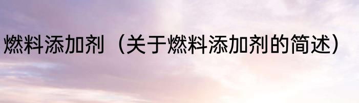 燃料添加剂（关于燃料添加剂的简述）