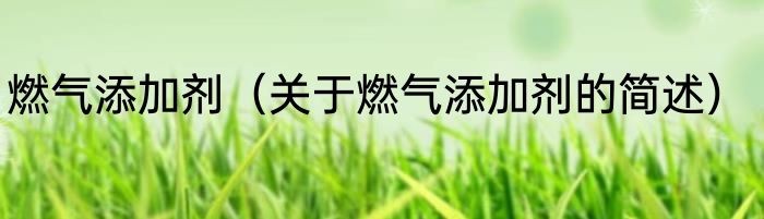 燃气添加剂（关于燃气添加剂的简述）