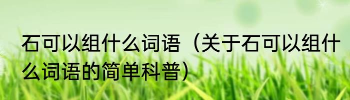 石可以组什么词语（关于石可以组什么词语的简单科普）