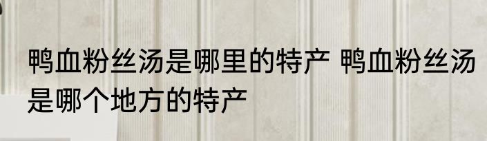 鸭血粉丝汤是哪里的特产 鸭血粉丝汤是哪个地方的特产