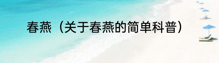春燕（关于春燕的简单科普）