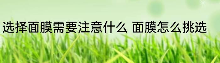 选择面膜需要注意什么 面膜怎么挑选