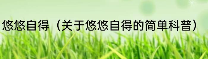 悠悠自得（关于悠悠自得的简单科普）