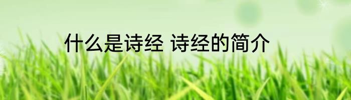 什么是诗经 诗经的简介