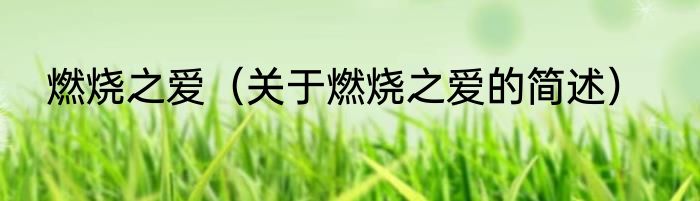 燃烧之爱（关于燃烧之爱的简述）