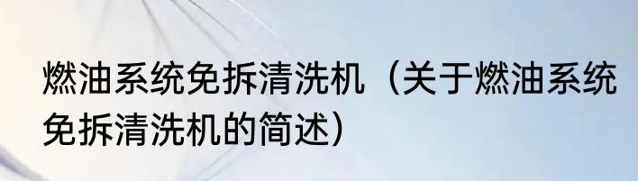 燃油系统免拆清洗机（关于燃油系统免拆清洗机的简述）
