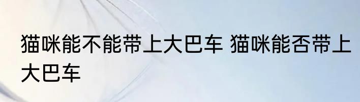 猫咪能不能带上大巴车 猫咪能否带上大巴车