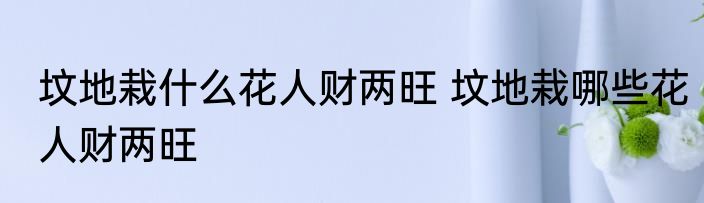 坟地栽什么花人财两旺 坟地栽哪些花人财两旺