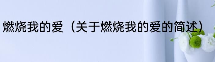 燃烧我的爱（关于燃烧我的爱的简述）