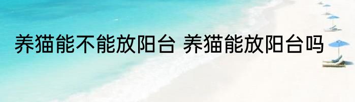养猫能不能放阳台 养猫能放阳台吗