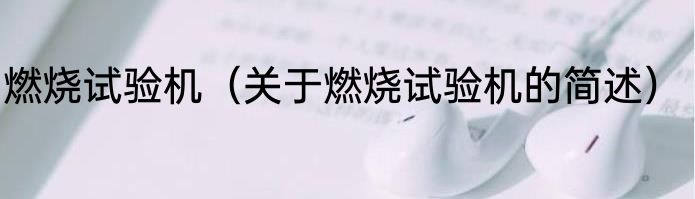 燃烧试验机（关于燃烧试验机的简述）